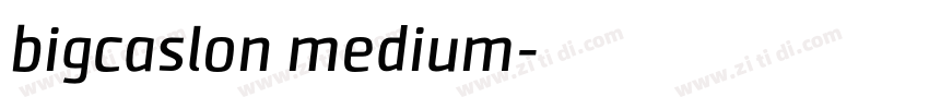 bigcaslon medium字体转换